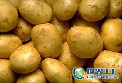 供应马铃薯 质量保证 欢迎洽谈_农副产品_世界工厂网中国产品信息库